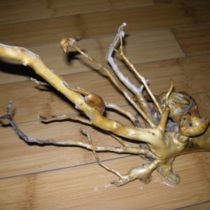 根雕作品赏析
