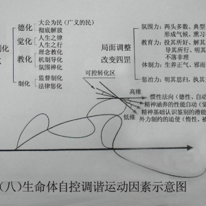 生命体自控调谐运动因素示意图