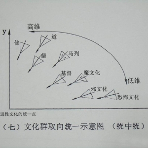 文化群取向统一示意图（统中统）
