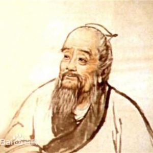 医家 （中国理论学派）
