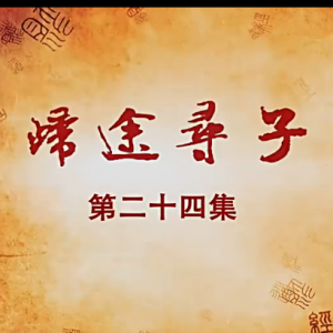 老子传奇 第24集 归途寻子