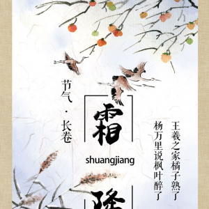 霜降·长卷丨杨万里说枫叶醉了，王羲之家橘子熟了