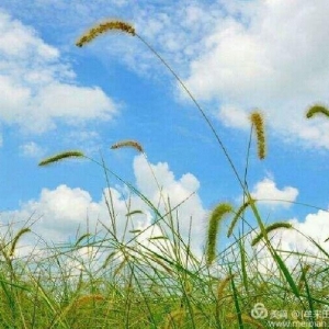 法治