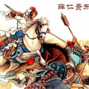 薛仁贵 （唐朝初年名将）